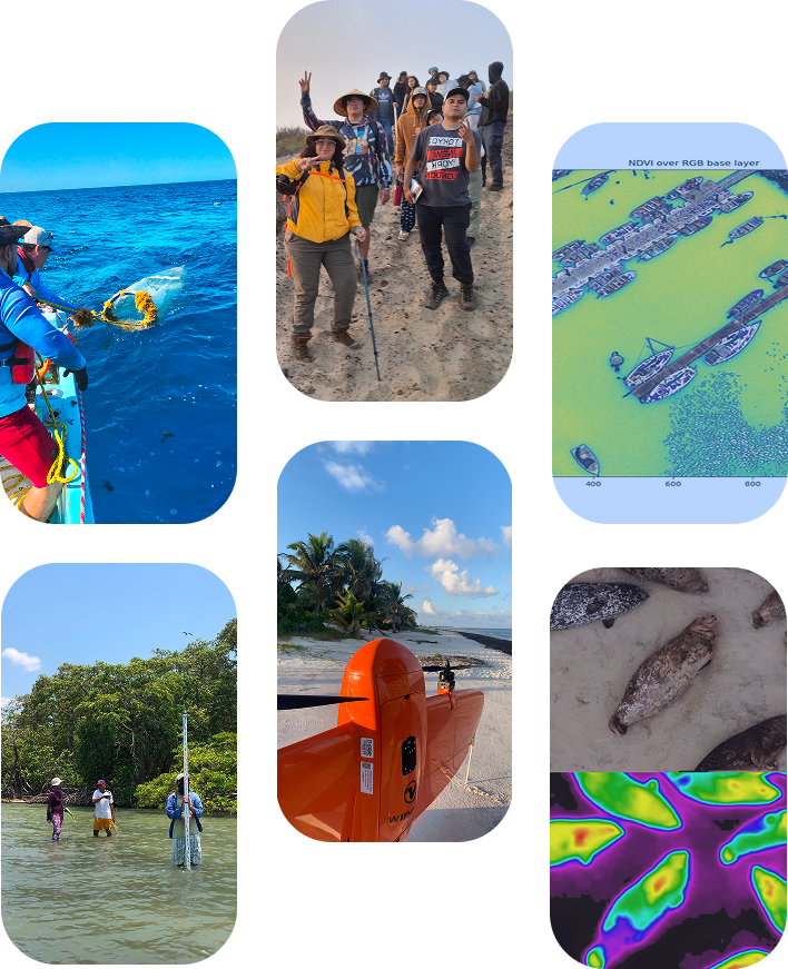 Collage de actividades del programa MACOO